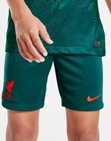 Nike Liverpool FC 2022/23 Stadium Away Dri-FIT Fußball-Shorts Kinder 4 Nike Liverpool FC 2022/23 Stadium Away Dri-FIT Fußball-Shorts Kinder – Bild 2