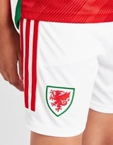 Adidas Wales 2022 Home Shorts Kinder PRE ORDER 5 Adidas Wales 2022 Home Shorts Kinder PRE ORDER – Bild 3