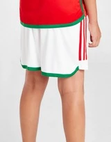 Adidas Wales 2022 Home Shorts Kinder PRE ORDER 7 Adidas Wales 2022 Home Shorts Kinder PRE ORDER – Bild 5