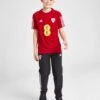 Adidas Wales Tiro 23 Presentation Trainingshose Kinder PRE ORDER