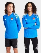 Adidas Wales 2022 Goalkeeper Shirt Kinder
