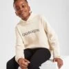 Calvin Klein Institutional Hoodie Kinder