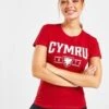 Official Team Wales Cymru T-Shirt Damen -Modische Sportbekleidung jd 624229 a