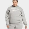 Reebok Reebok Identity Big Logo Fleece Hoodie (plus-size)