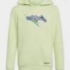Adidas Originals Graphic Stoked Beach Hoodie