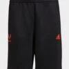Adidas Messi Shorts -Modische Sportbekleidung jd HG6772 a